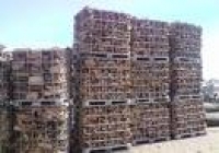 Was können wir für Sie tun?